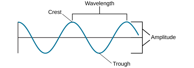 Diagram of a sine wave labeled with crest, trough, wavelength, and
amplitude